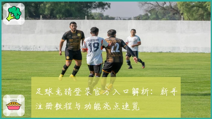 足球竞猜登录官方入口解析：新手注册教程与功能亮点速览