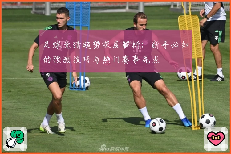 足球竞猜趋势深度解析：新手必知的预测技巧与热门赛事亮点