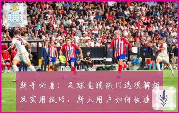 新手必看：足球竞猜热门选项解析及实用技巧，新人用户如何快速入门掌握秘诀