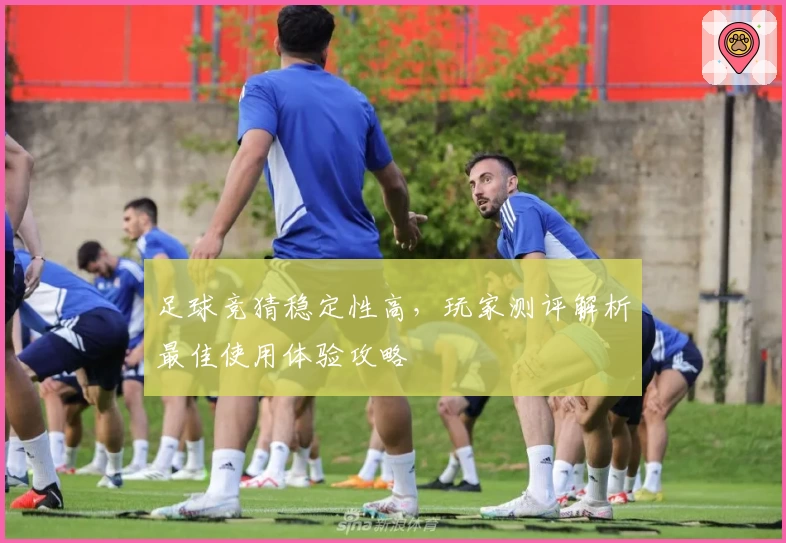足球竞猜稳定性高，玩家测评解析最佳使用体验攻略